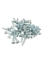 Picture of Self-Drill Screw Square Pan Head 4.2 x 19mm (1000 + Tec Bit)